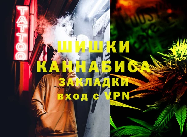 гидропоника Алзамай